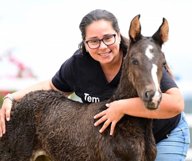 TODO CAVALO FOI POTRO UM DIA, MAS NEM TODO POTRO SE TORNARÁ UM CAVALO